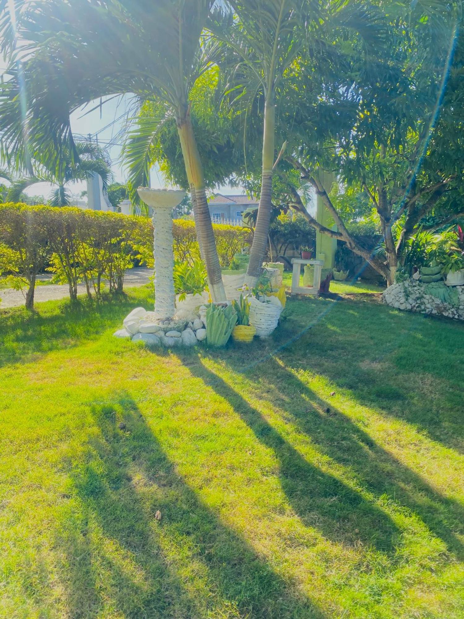 Cindy'S Garden Stay Ocho Rios Exterior foto